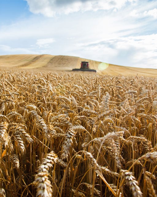 Meille ympäristö on tuoretuote