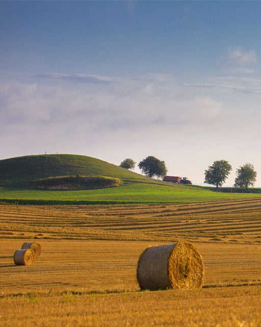 Vastuu on  leipälajimme