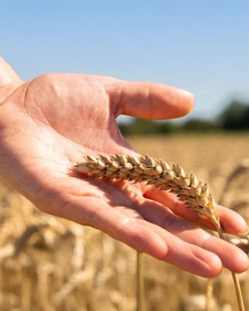 Sinulle ja  meille kaikille
